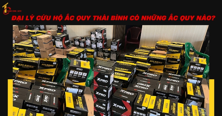 Đại lý cứu hộ ắc quy Thái Bình có những ắc quy nào?